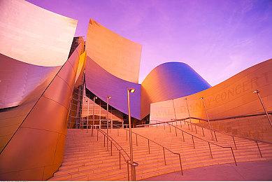 《艾尔登法环：黑夜君临》地形有大变化 但仍有毒沼